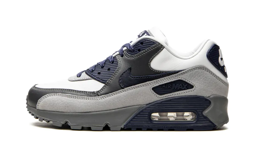 Nike Air Max Air Max 90 'Lahar Escape Grey'
